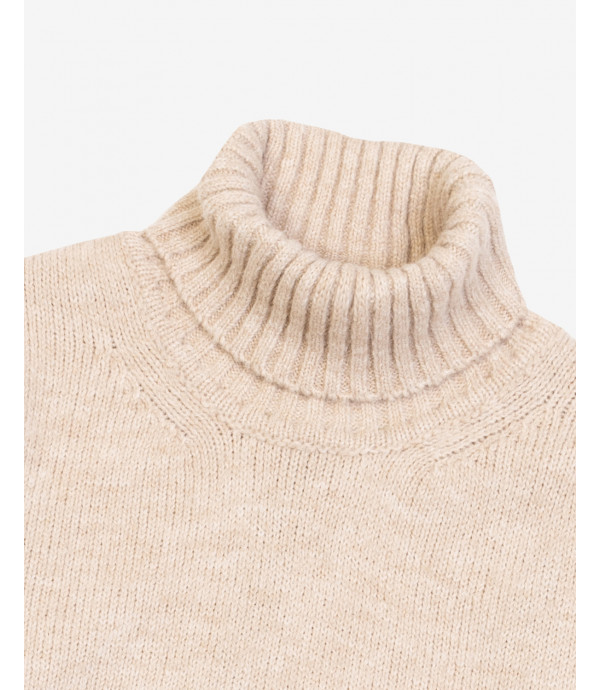 Alpaca blend turtleneck sweater