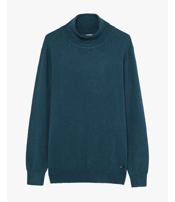 Essensial soft touch turtleneck sweater