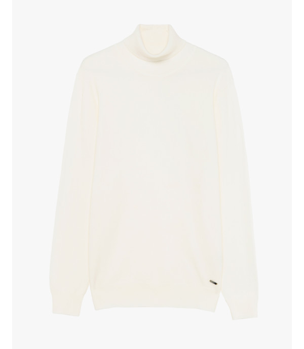 Essensial soft touch turtleneck sweater