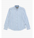 Striped cotton shirt